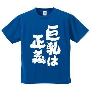 おもしろTシャツ みかん箱 巨乳は正義 メンズ レディース ドライ 速乾 ポリエステル 半袖