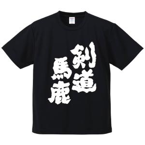剣道 ドライ Tシャツ 吸汗 速乾 メッシュ オリジナル 名入れ無料