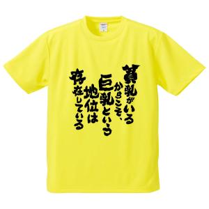 おもしろTシャツ みかん箱 貧乳がいるからこそ、巨乳という地位は存在している メンズ レディース ドライ 速乾 ポリエステル 半袖