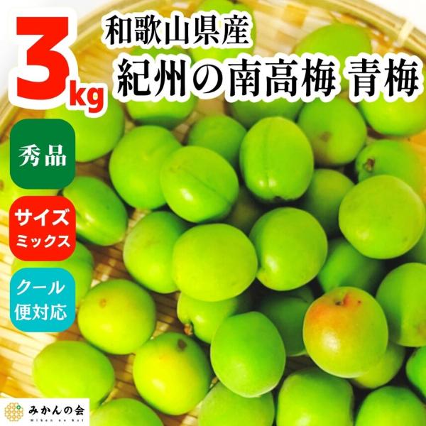 南高梅 青梅 秀品 3kg サイズミックス 和歌山県産 紀州有田 産地直送 クール便対応 梅酒作り用...