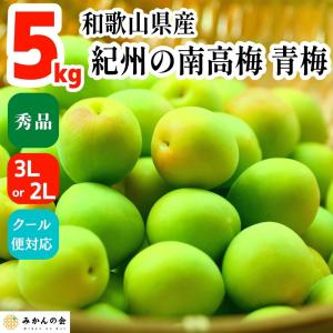 南高梅 青梅 秀品 5kg 3L or 2Lサイズ 和歌山県産 紀州有田 産地直送 クール便対応 梅酒作り用 梅ジュース作り用 2025年6月初旬出荷