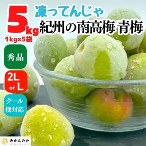 冷凍 南高梅 青梅 5kg 秀品 2LorL 和歌山県産 紀州有田の南高梅 梅シロップ クール便 7月初旬発送