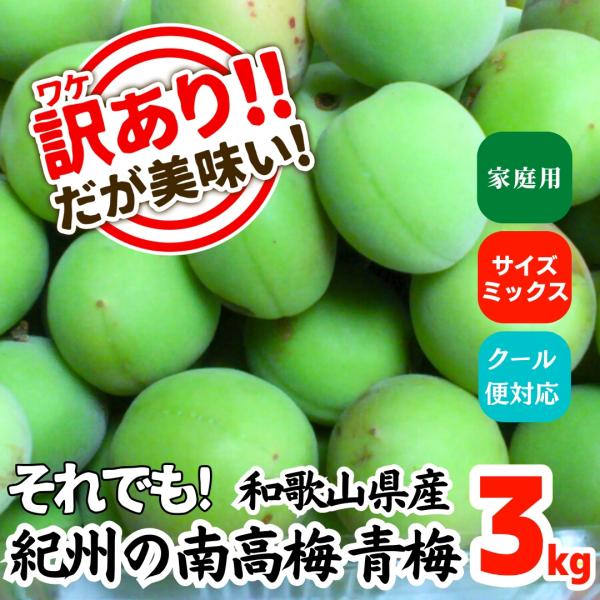 南高梅 青梅 訳あり 3kg サイズミックス 和歌山県産 紀州 産地直送 クール便対応 家庭用 梅シ...