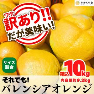 訳あり それでも 国産 バレンシアオレンジ  箱込 10kg (内容量 9.2kg ) サイズミックス 和歌山県産 産地直送【みかんの会】｜mikannokai