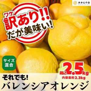 訳あり それでも 国産 バレンシアオレンジ  箱込 2.5kg (内容量 2.3kg ) サイズミックス 和歌山県産 産地直送【みかんの会】｜mikannokai