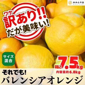 訳あり それでも 国産 バレンシアオレンジ  箱込 7.5kg (内容量 6.8kg ) サイズミックス 和歌山県産 産地直送【みかんの会】｜mikannokai