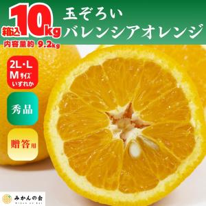 バレンシアオレンジ 国産 玉ぞろい 秀品 箱込 10kg (内容量 9.2kg ) 2L L M サイズのいずれか 和歌山県産 産地直送 【みかんの会】｜mikannokai