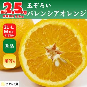 バレンシアオレンジ 国産 玉ぞろい 秀品 箱込 2.5kg (内容量 2.3kg ) 2L L M サイズのいずれか 和歌山県産 産地直送 【みかんの会】｜mikannokai