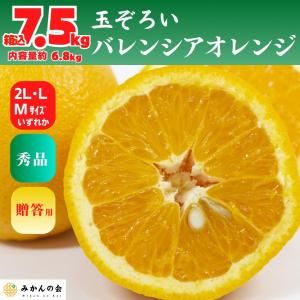 バレンシアオレンジ 国産 玉ぞろい 秀品 箱込 7.5kg (内容量 6.8kg ) 2L L M サイズのいずれか 和歌山県産 産地直送 【みかんの会】｜mikannokai