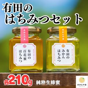 純粋みかん蜂蜜 600g 和歌山県産 : 紀州・日高路名産品 丸仁商店