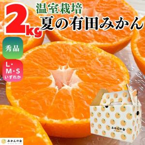 【先行予約】ハウスみかん 温室栽培 夏の有田みかん 2kg 秀品 L M Sサイズのいずれか 和歌山県産 産地直送 【みかんの会】｜mikannokai