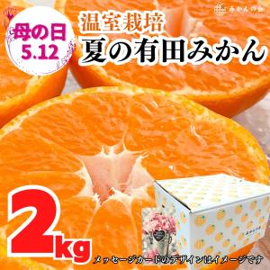 【母の日ギフト先行予約】ハウスみかん 温室栽培 夏の有田みかん 2kg 秀品 L M Sサイズのいずれか 和歌山県産 産地直送 【みかんの会】｜株式会社 みかんの会