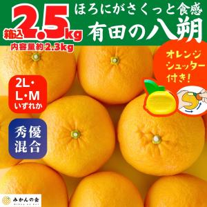 柿 ベビーパーシモン 産地厳選 約500g : 果物専門店 フルーツ千里