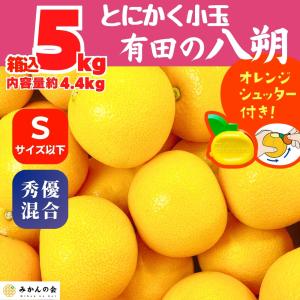 八朔 (はっさく) 秀品 優品 混合 玉ぞろい 箱込 5kg (内容量約 4.4kg
