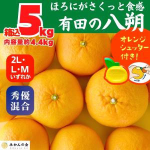 八朔 はっさく 因島 赤秀品 L-2L 5kg 広島 JA尾道市 因島選果場