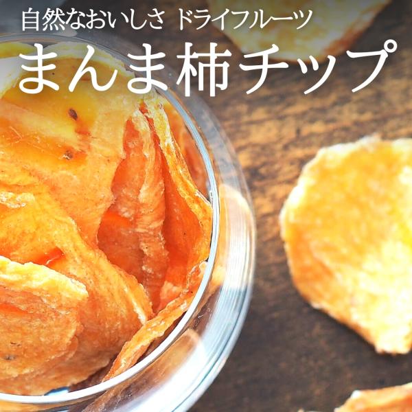 まんま柿チップ 500g(50g×10袋) 保存料不使用 ドライフルーツ 和歌山県産【みかんの会】