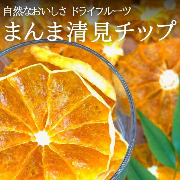 まんま清見(きよみ)チップ 100g(20ｇ×5袋) ドライフルーツ 和歌山県産 【みかんの会】