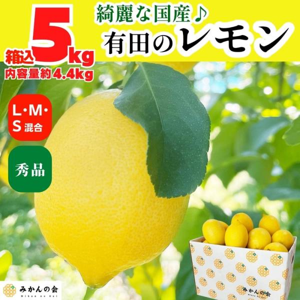 レモン 国産 秀品 小玉 箱込 5kg ( 内容量 4.4kg ) S / M / L サイズミック...