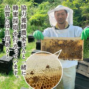 みかん蜂蜜 210g はちみつ 国産 純粋生蜂...の詳細画像1
