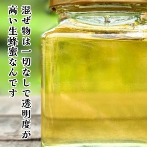 みかん蜂蜜 210g はちみつ 国産 純粋生蜂...の詳細画像3