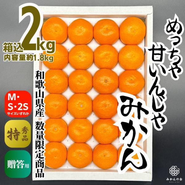 みかん めっちゃ甘いんじゃ 糖度12度以上 箱込2kg（内容量1.8kg） 特選品 M S 2S サ...