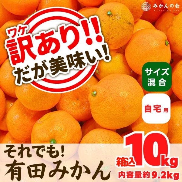 訳あり それでも みかん  箱込 10kg (内容量9.2kg) サイズミックス Ｂ品 和歌山県産 ...