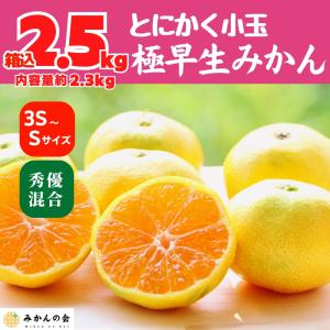 とにかく小玉 極早生 みかん 箱込 5kg ( 内容量 4.4kg ) 3S〜Sサイズ