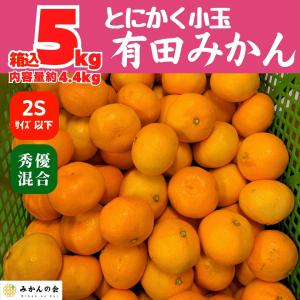 【先行予約】 とにかく小玉 みかん 箱込 5kg ( 内容量 4.4kg ) 2Sサイズ以下 11月15日より出荷 秀品 優品 混合 和歌山県産 有田みかん 産地直送 家庭用