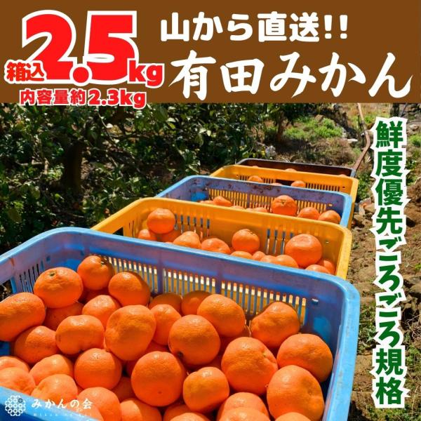みかん 山から直送 箱込 2.5kg (内容量 2.3kg) 鮮度優先ごろごろ規格 和歌山県 家庭用...