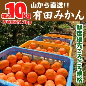 真穴みかん Sサイズ10キロ箱 おいしい真穴みかん 商品一覧｜愛媛県産みかん 送料無料 みかん5