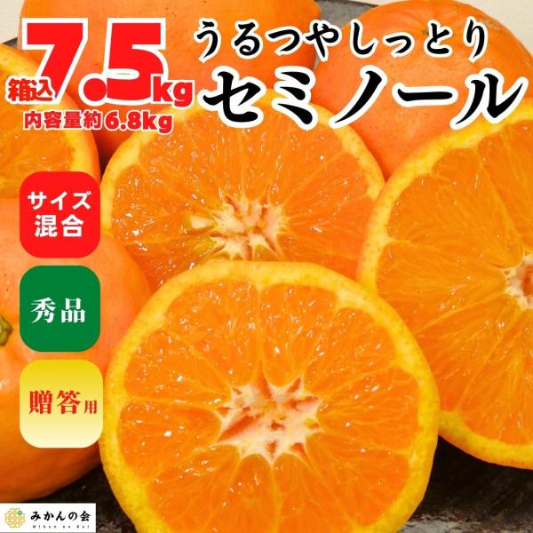 セミノール 箱込 7.5kg （内容量約6.8kg） 秀品 サイズミックス 和歌山県産 産地直送 【...