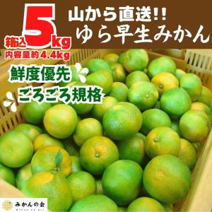 高級ブランドみかん！！愛媛県産【真穴みかん】Sサイズ　10kg！ 高級ブランドみかん！愛媛県産【真穴みかん】○等級 Sサイズ 3kg