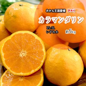 カラマンダリン 温州みかん 春みかん 愛媛県産 不揃い 混合 約 5ｋｇ 訳あり キズ多め 送料無料｜みかん横丁ヤフーショップ