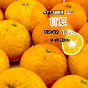 甘夏 訳あり 甘夏柑 愛媛県産 あまなつ 夏みかん 春 柑橘 不揃い 混合 約10ｋｇ 送料無料