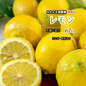 レモン 訳あり 約4kg 和歌山県産 国産レモン 防腐剤・ワックス不使用