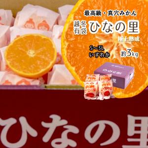 玉津みかん南柑20号 約5kg【サイズ S〜L】販売期間 10/4〜12/22 発送