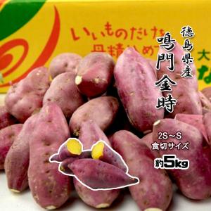 鳴門金時 食べきり Ｓサイズ 徳島県産 なると金時 金時芋 さつまいも 5ｋｇ 2023年 新物 送料無料｜みかん横丁ヤフーショップ