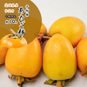 あたご柿 愛宕柿 干し柿用 家庭用 渋柿 約15kg 約40-70個入 香川県産