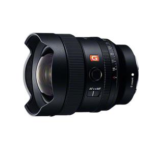 SONY 中古 1年保証 美品 FE 100mm F2.8 STF GM OSS [SEL100F28GM