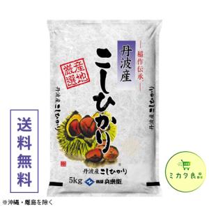 丹波産コシヒカリ 令和3年産 精米