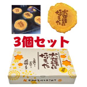 退職 挨拶 お菓子 個包装 メッセージ ギフト 大量配り プチギフト 粗品