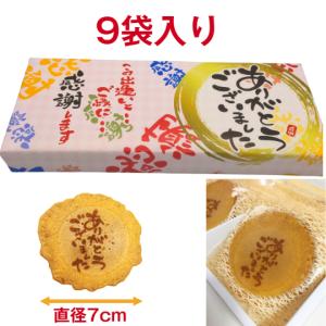 贈り物 お菓子 ギフト 退職 個包装 粗品 お礼の品 詰め合わせ 大量 プチギフト ありがとうございました 9袋入り