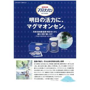 マグマオンセン 袋タイプ 3箱セット 90包 ...の詳細画像1