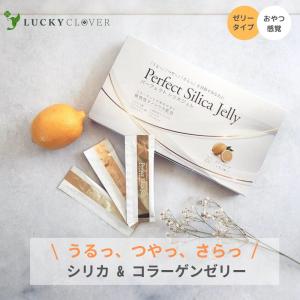 Perfect Silica Jelly パーフェクトシリカジュレ 30本 1箱｜mikawakanpoudo