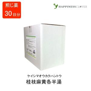 ウチダの桂枝麻黄各半湯の商品画像