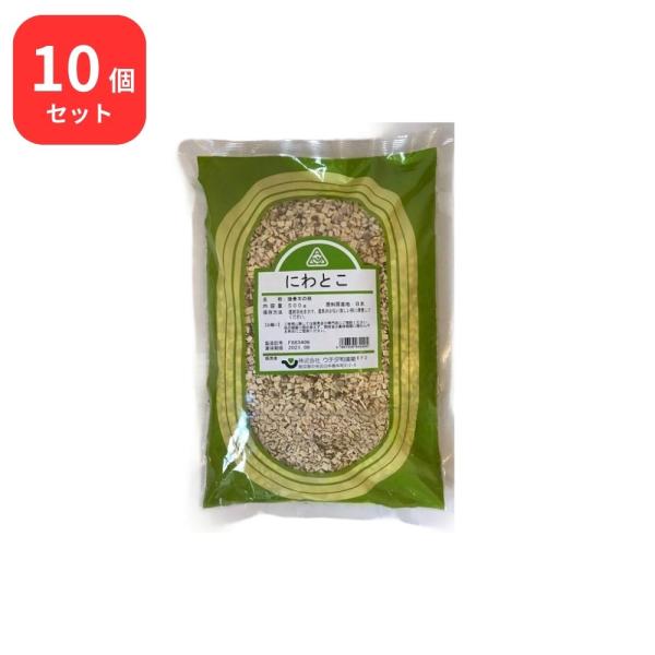 【10個セット】 ウチダ和漢薬 接骨木 セッコツボク 刻 500g  接骨朴 ニワトコ