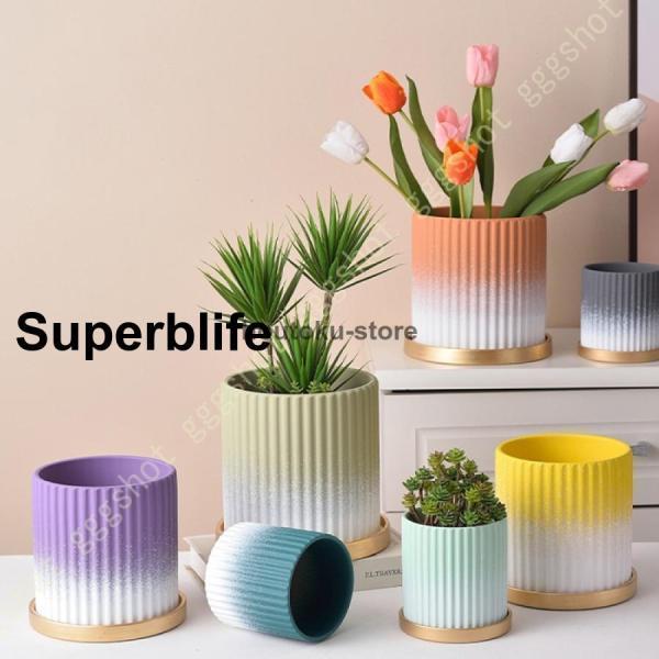 植木鉢 陶器鉢 プランター おしゃれ 受け皿付き 穴付き グラデーション 鉢 プランター 鉢植え 北...