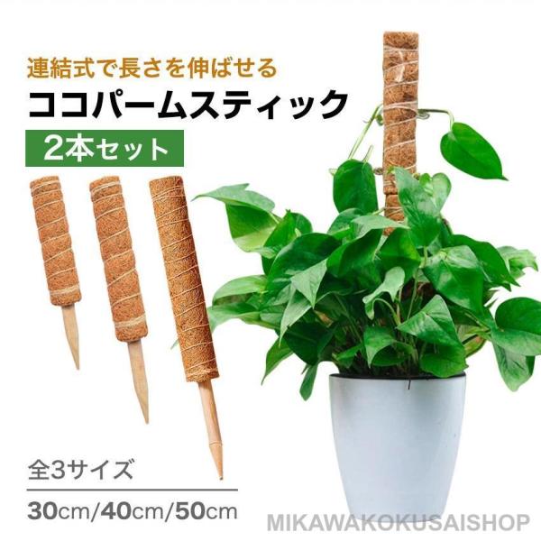 ココパームスティック 2本セット 植物 支柱 おしゃれ ココ スティック 50cm 40cm 30c...