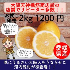 認知症予防 愛媛県産 河内晩柑 2kg 大阪天神橋筋商店街でリピーター多数 お試し価格 ギフトにも｜mikawaya-chana