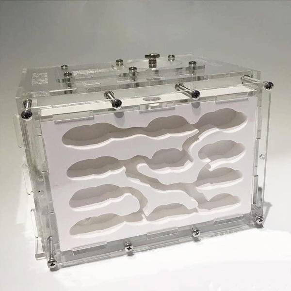 アリの巣観察キット 大きい 石膏製巣箱 保湿性がよい 自由研究 蟻 観察 飼育 実験 小学生